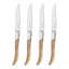 4 Piece Steak Knife Set