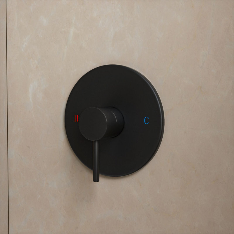 1.5 GPM Rain Adjustable Shower Head with Self-Cleaning, Matte Black