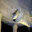 Photos des clients 1 de 4