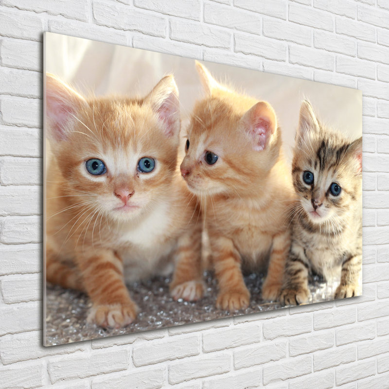 Small Cats - Unframed Art Prints on Glass