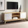 Bobb Media Console TV Stand with Storage
