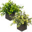 Buis artificiel en pot 8,7 po