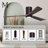 Olivier Ceiling Fan with LED Lights-1559777871-1513616204-1483043071