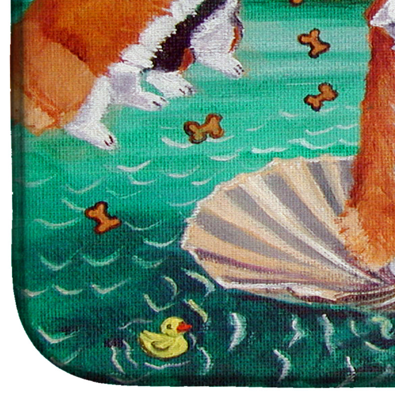 Drying Mat