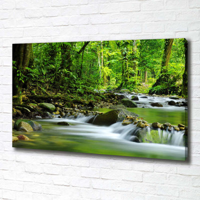 Mountain Stream - Wrapped Canvas Print