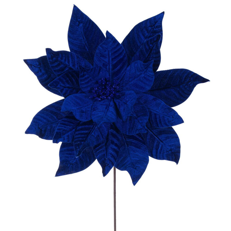 Tiges de poinsettia Clementina, Bleu