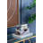 Jewelry Box +