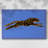 The Wild Leopard II-Gallery Wrapped Canvas-2071542417