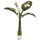 Calla Lily Bouquet Floral Arrangement in Vase