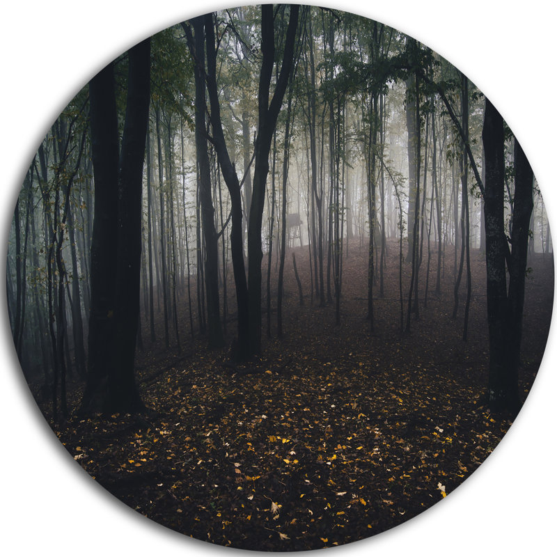 «Dark Spooky Misty Wild Forest», reproduction de photo, H 23 po x l 23 po x P 1 po, H 36 po x l 36 po x P 1 po