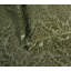 Polyester Floral Bedspread with Pillow Shams-121357433-121357434