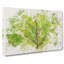 Lines of the Leaf - Wrapped Canvas-56658052