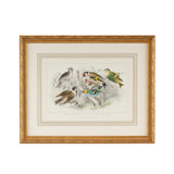 Finch Bunting And Wrens Print