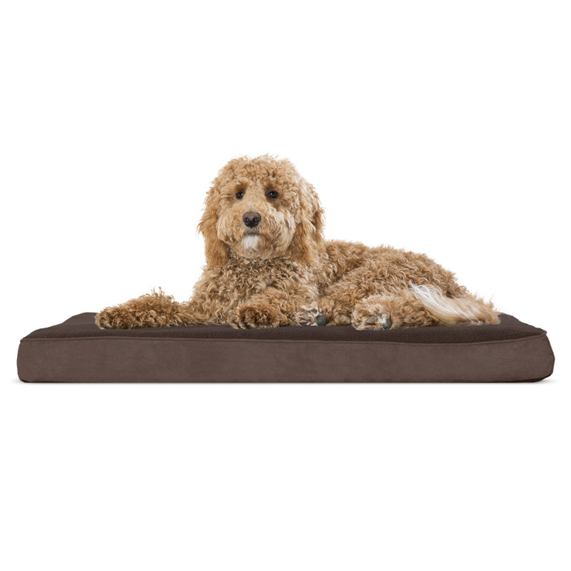 Coussin orthopédique Snuggle NAP Deluxe, Espresso, Grand (l 36 po x P 27 po x H 3 po)