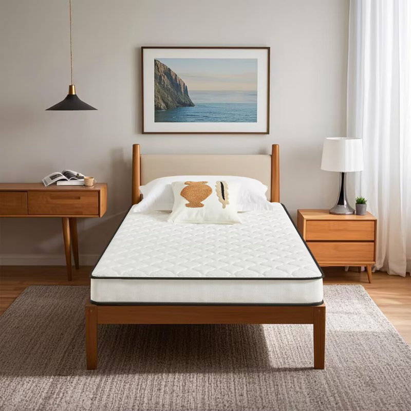 Wayfair Alwyn Home 6" Medium Euro Top Hybrid Innerspring Mattress, Twin XL