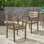 Ensemble de 2 chaises de salle à manger, fauteuil en bois d'acacia, pour cour, bord de piscine, jardin