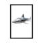 " Shark I " by Alexis Marcou-22638547-72661852-72661853