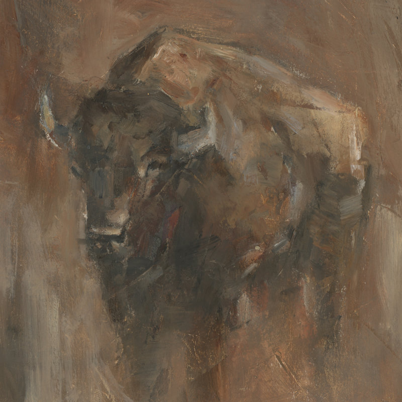 American Buffalo Study II by Ethan Harper - Wrapped Canvas Print, 30 cm H x 30 cm W