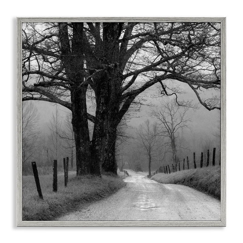 «Lonely Path Vers Trees», art de la giclée encadrée par Nicholas Bell, Estampe numérique Farmhouse, H 24 po x l 24 po