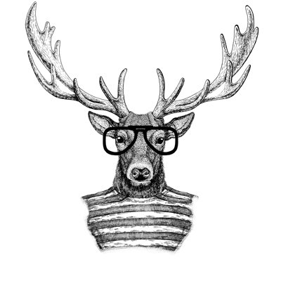 Deer 1 Piece Wrapped Canvas Wall Art