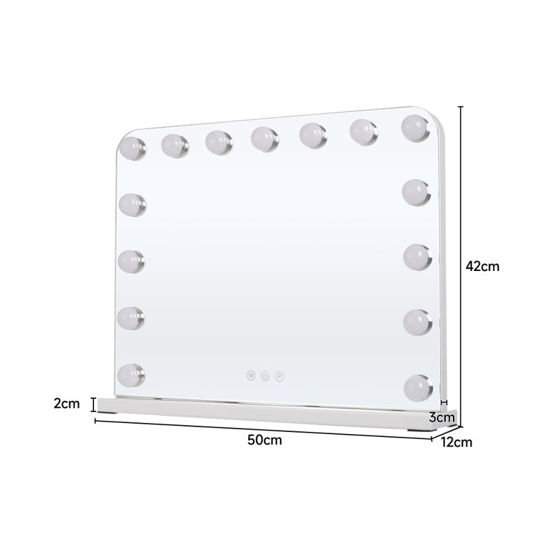 Metal Rectangle Mirror, 42 cm H x 50 cm W 