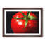 Red Tomatoes - Framed Print-56758772-56758773