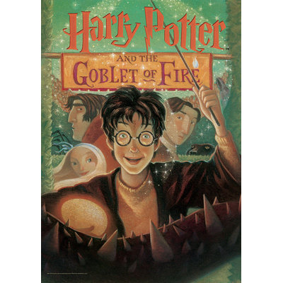 « à pied of fire », impression de livres harry potter