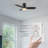 Frederikson 44'' Ceiling Fan with LED Lights-1612055239