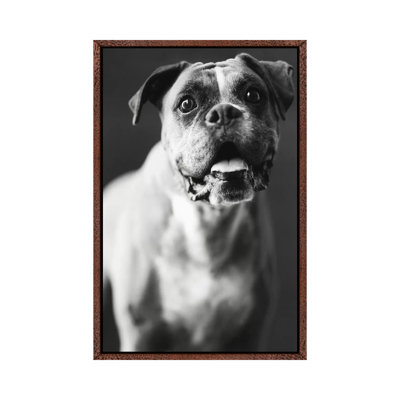 Cassius 1 Piece Wall Art on Canvas