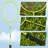 32ft, 26ft and 20ft Width and Height Adjustable Volleyball and Badminton Combo Set with Net
