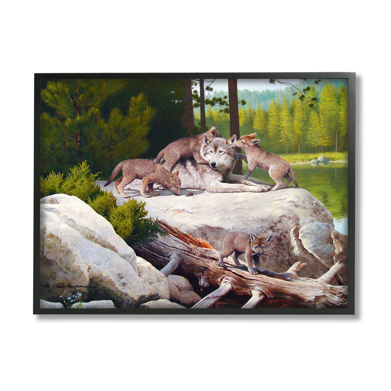 «Wolf & Cubs in Nature» par Rod Lawrence, reproduction d'art sur toile, Giclée encadrée noir minuit