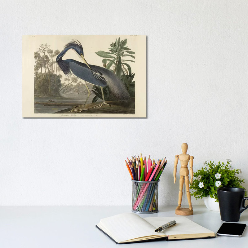 Louisiana Heron, 1834 by Robert The Younger Havell - Wrapped Canvas Painting, 20.32 cm H x 30.48 cm W