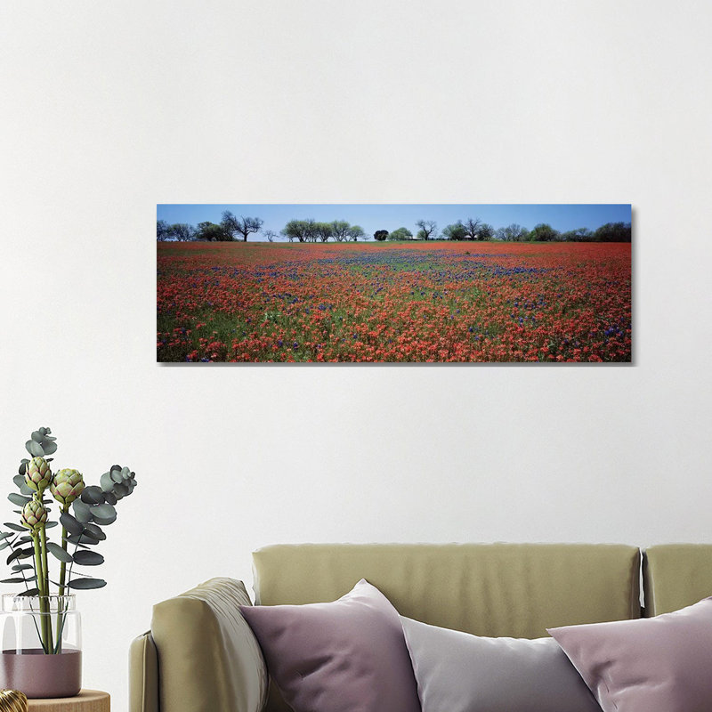 Indian Paintbrush & Bluebonnets, Texas by Panoramic Images - Wrapped Canvas Panoramic Print