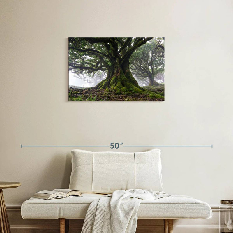 Harnek Mossy Old Trees, H 20 po x l 30 po