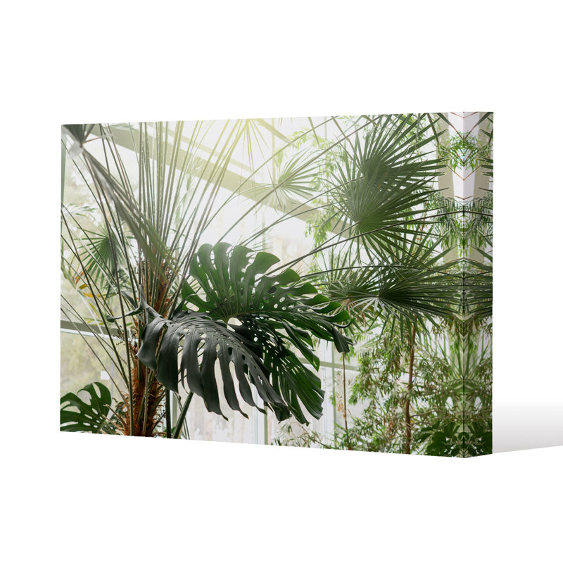 1 Piece Wrapped Canvas Painting