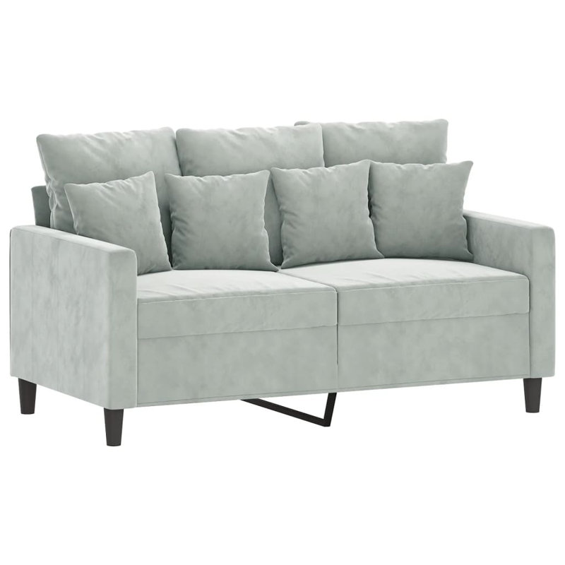 vidaXL 2-seater Sofa Light Grey Velvet (100% polyester), Metal, Textilene, Light Gray Velvet, 31.5" H x 54.3" W x 30.3" D