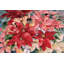«Poinsettia» par Kathleen Parr McKenna - reproduction-551634629-551634655-570560652