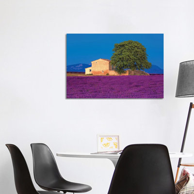 France, Provence. Lavender Field In The Valensole Plateau. by Jaynes Gallery - Wrapped Canvas Gallery-Wrapped Canvas Giclée