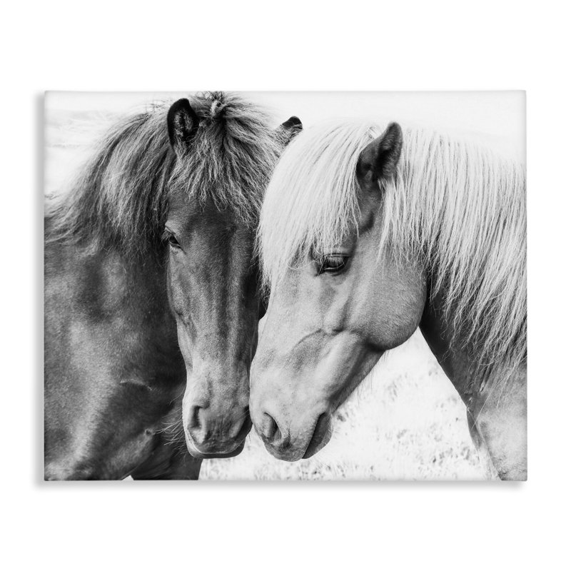 «Stupell Industries Horse Love Duo», art mural sur toile par Sissi et Seb, H 36 po x l 48 po x P 1,5 po