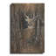 «Birchwood Buck» par Collin Bogle-462881597