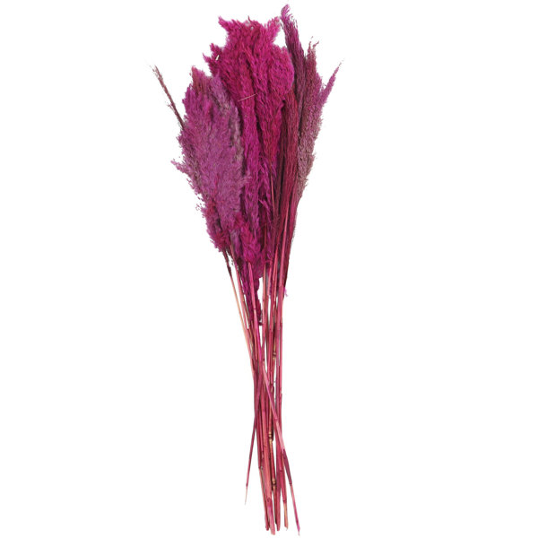 3Pcs Cotton Stems Flowers Dried Flower Branch Plants Floral For Wedding