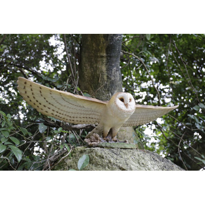 Barn Owl Flying Statue