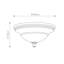 Barkbridge Glass Flush Mount