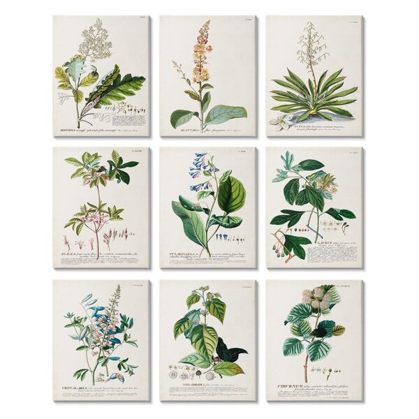 Rosalind Wheeler Vintage Botanical Greenery Illustrations With ...