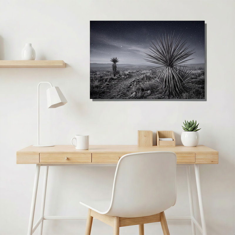«Yucca» noir et blanc sous un ciel étoilé, art mural sur toile, H 28 po x l 40 po
