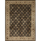 Extravagance II Hand Knotted Area Rug