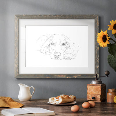 " Lazy Dog II "