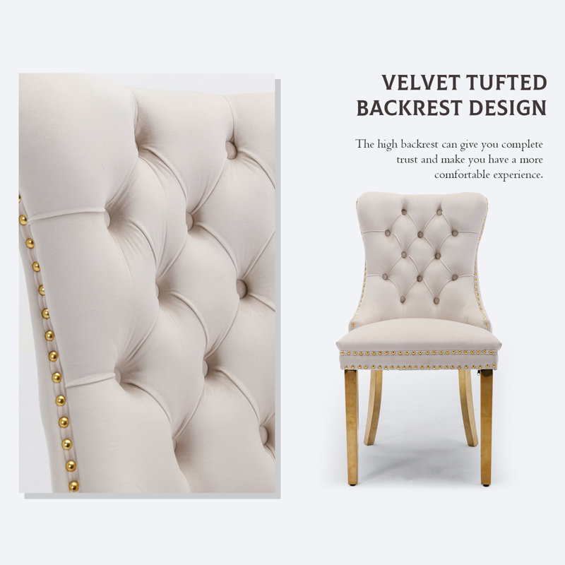 Velvet Fabric Upholstered Dining Chairs Set of 4 with Golden Legs,Beige, Beige, Gold