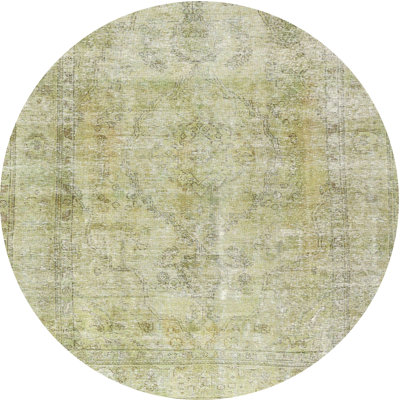 Oriental Indoor Rug