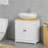 Modern Bathroom Under Sink Cabinet, Bathroom Vanity for Wall Mount Sink, Storage Cabinet with Double Doors and Adjustable Shelf, White